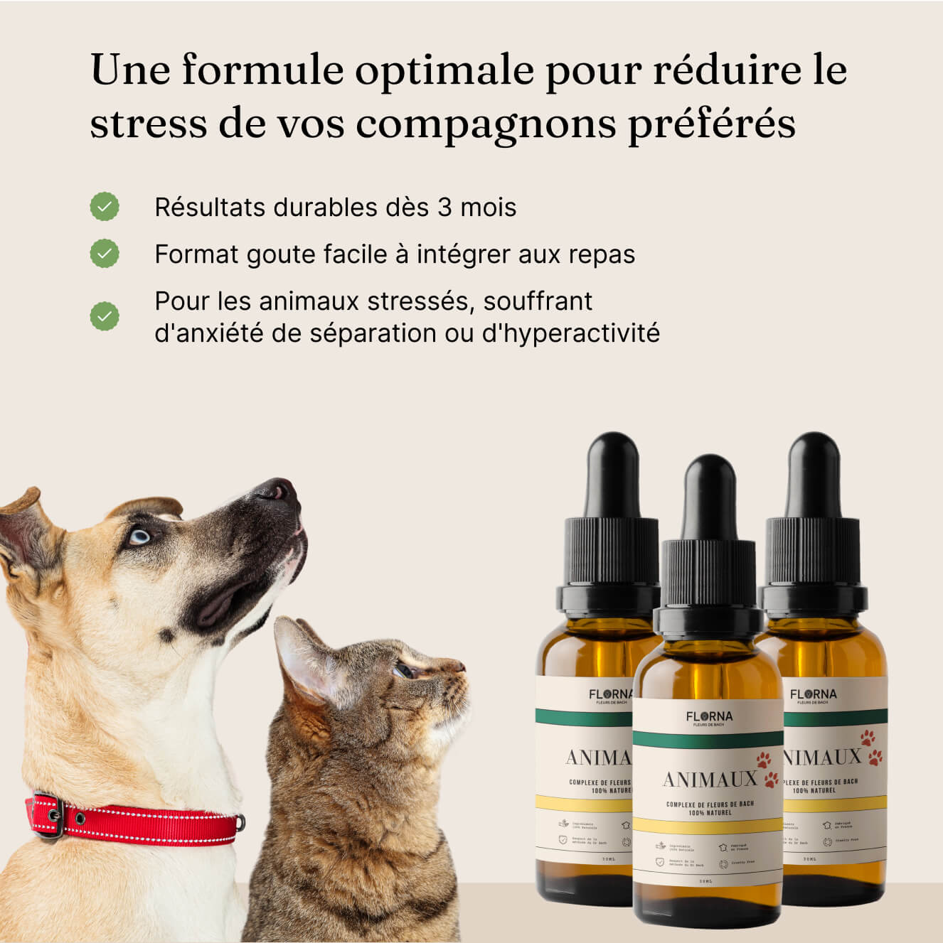 Anti-Stress Naturel pour Animaux – Fleurs de Bach