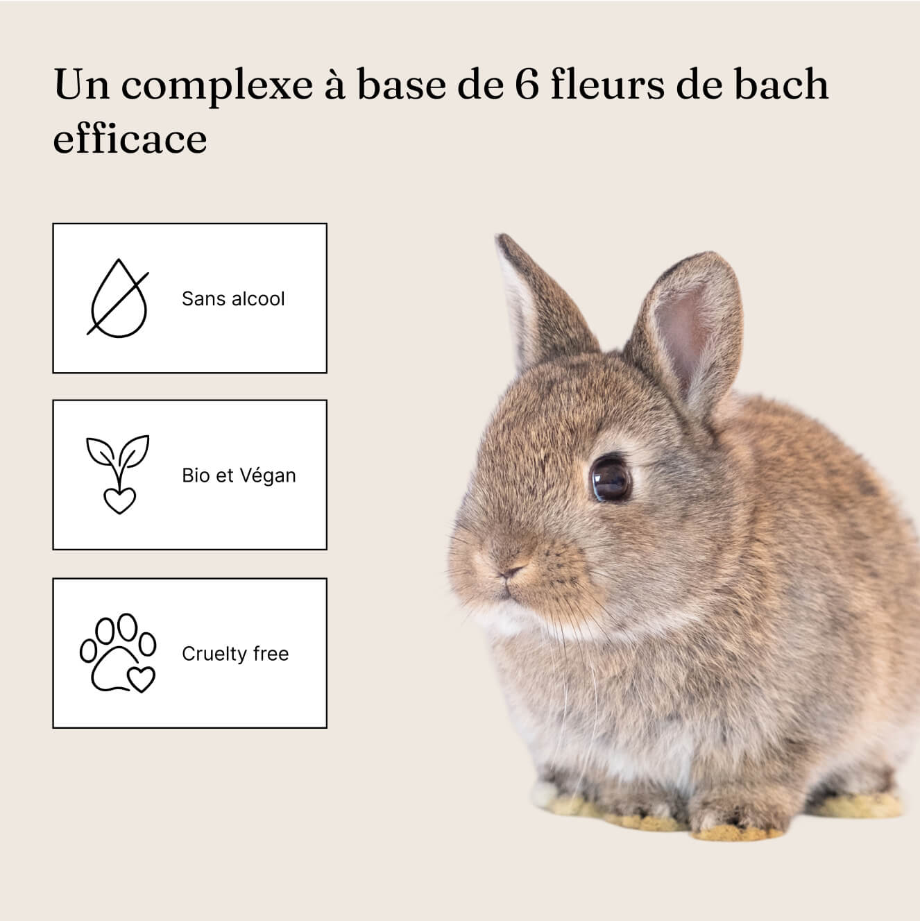 Anti-Stress Naturel pour Animaux – Fleurs de Bach