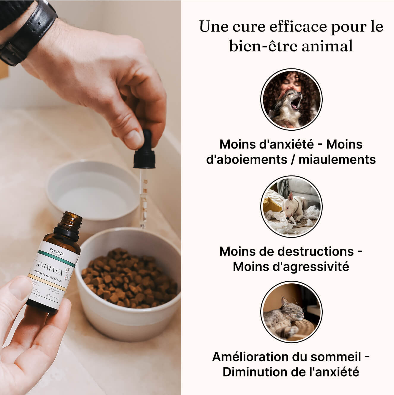 Anti-Stress Naturel pour Animaux – Fleurs de Bach