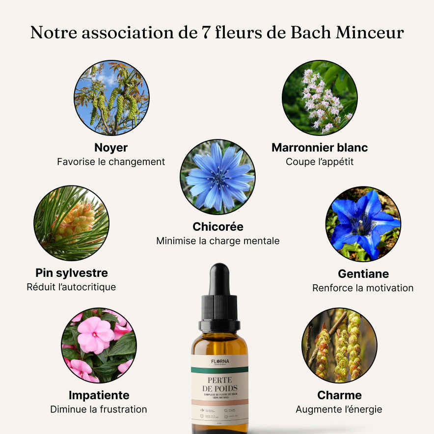 TRIO ÉQUILIBRE MÉNOPAUSE