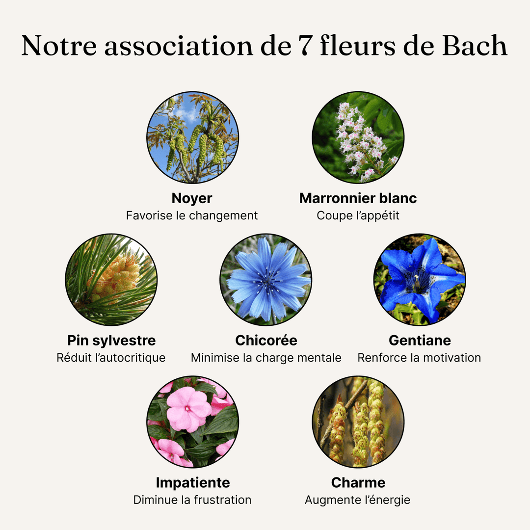 7 feurs de bach association assainissement du corps nutrition
