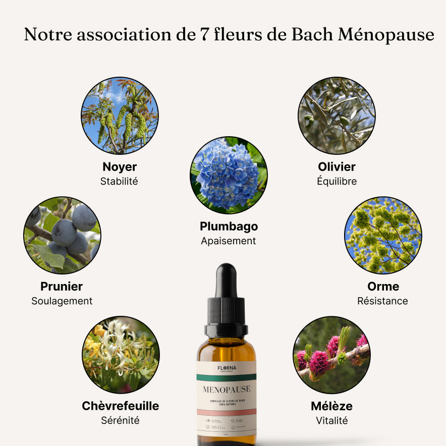 TRIO ÉQUILIBRE MÉNOPAUSE