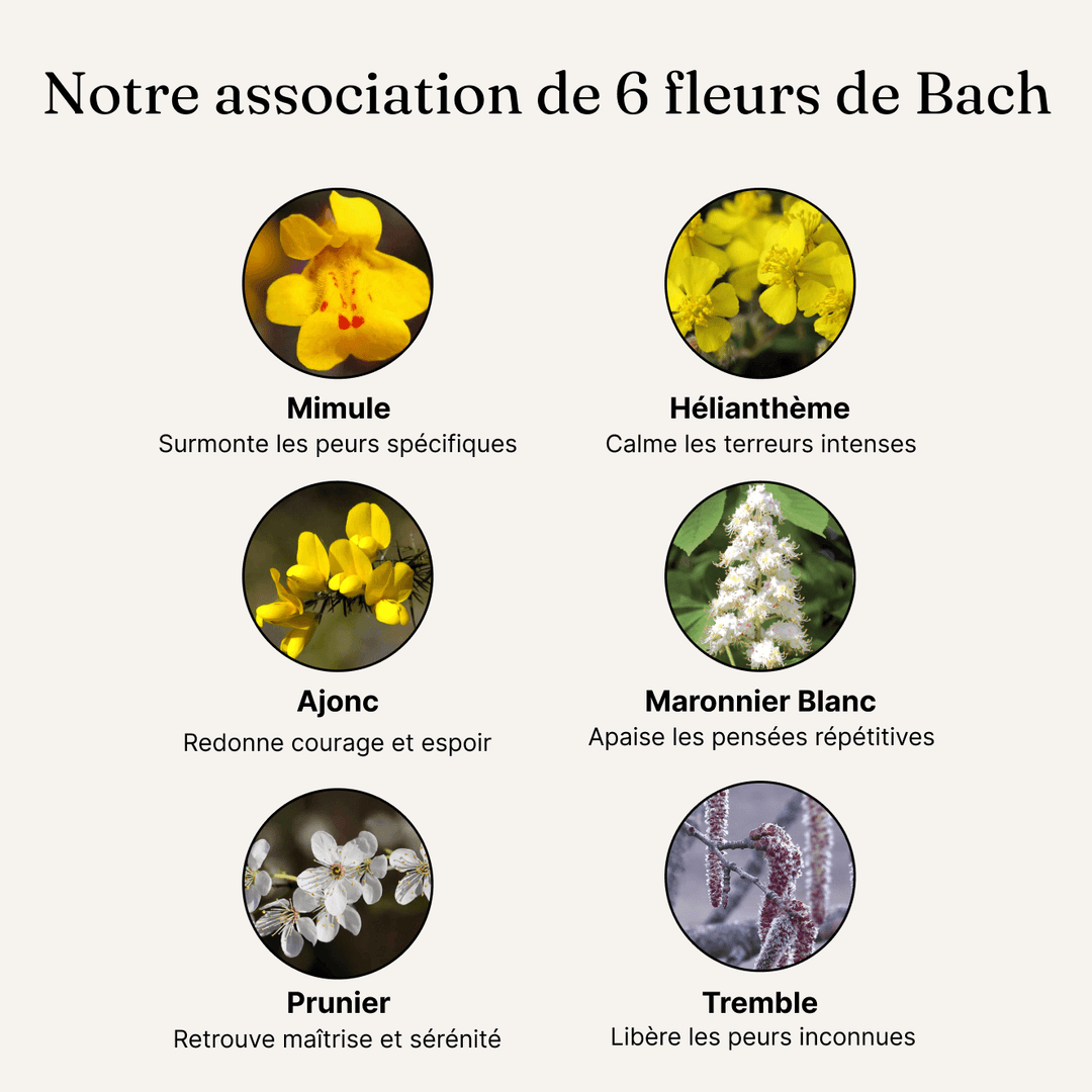 STRESS, ANXIÉTÉ ET PEURS - Fleurs de bach