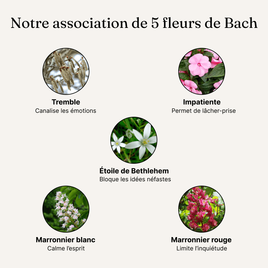 Association 5 fleurs de bach effets bénéfiques