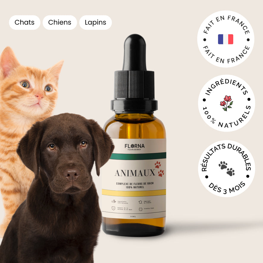 Anti-Stress Naturel pour Animaux – Fleurs de Bach