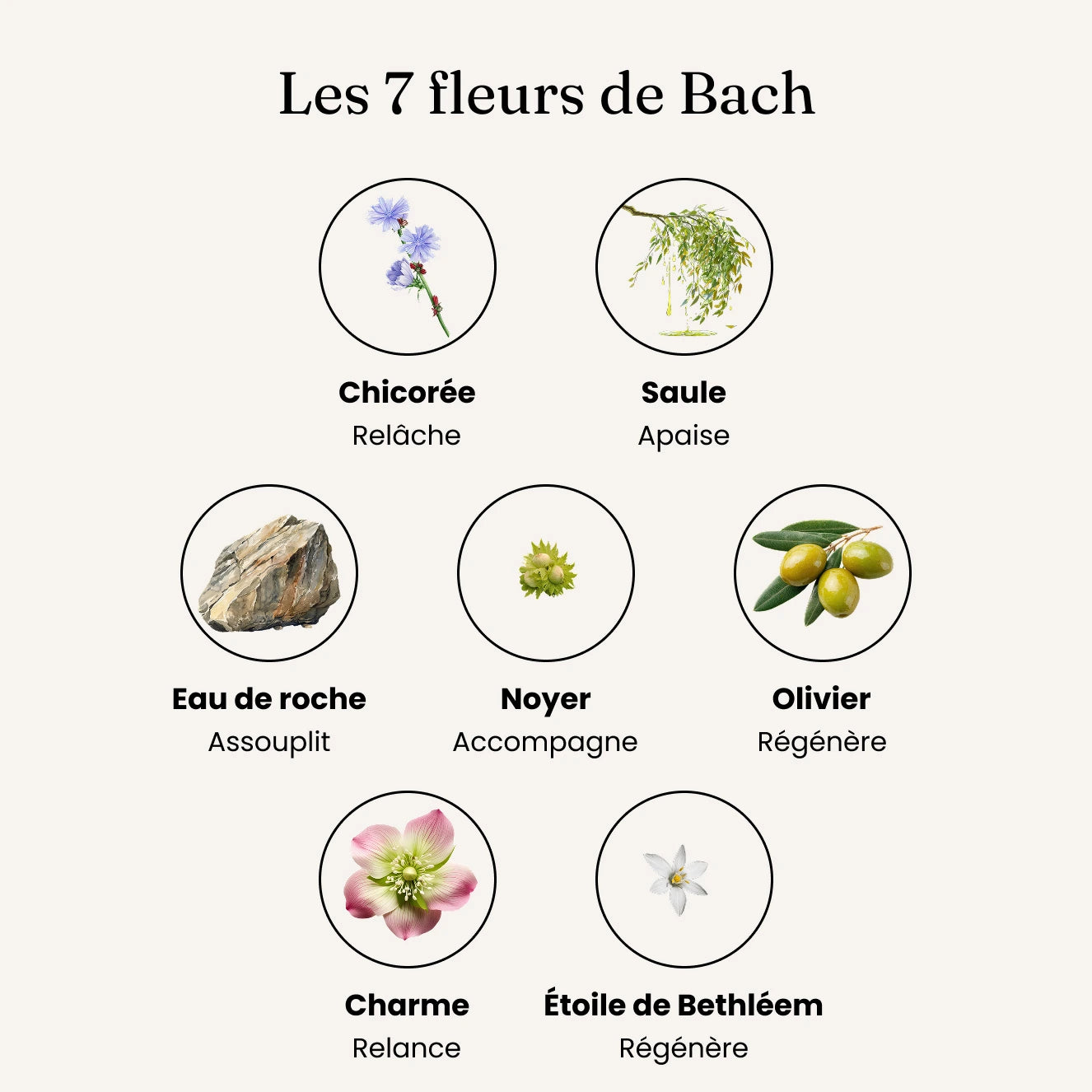 Mobilité + / Articulations - Fleurs de Bach