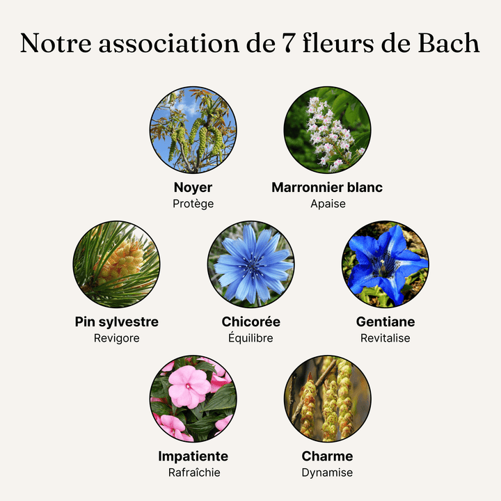 Perte de poids - Fleurs de Bach pour mincir durablement