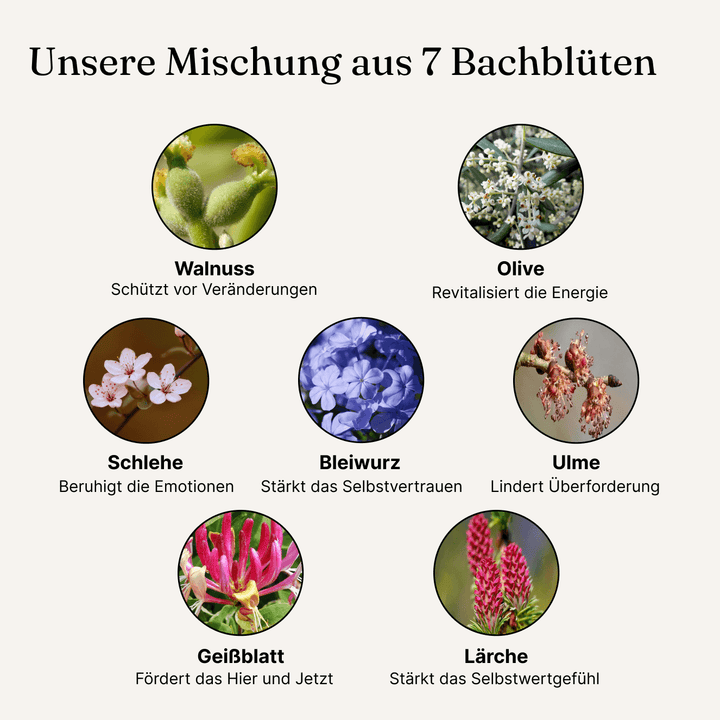 MENOPAUSE – Bachblüten