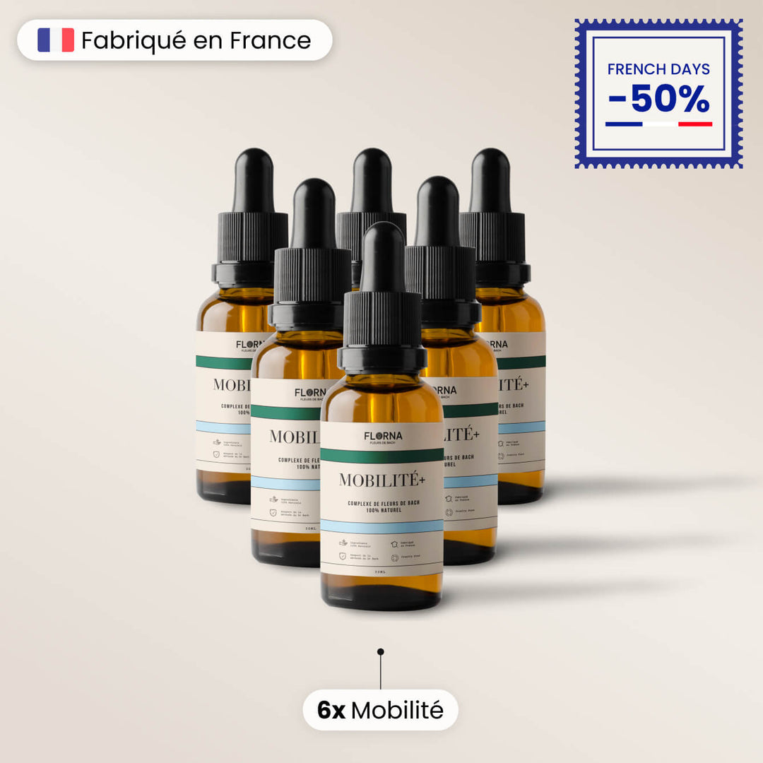 Mobilité